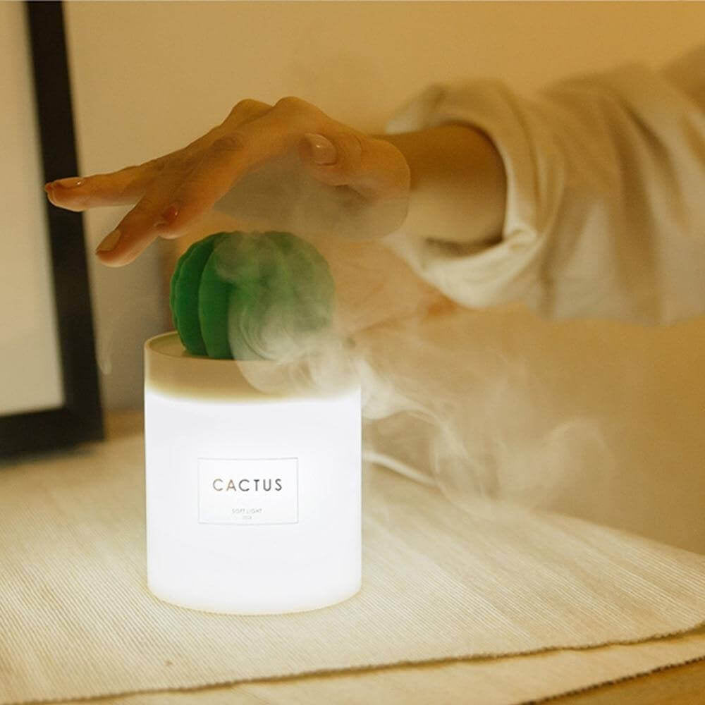 280ML Air Humidifier Soft LED Light Cactus Ultrasonic Aroma Essential Oil Diffuser For Home Car USB Mini Air Purifier | Kalsten